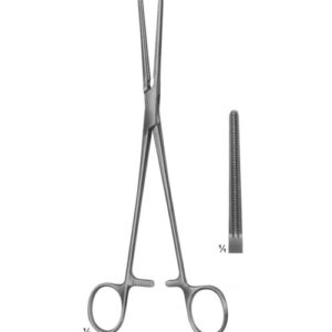 Cardiovascular and Thoracic Surgery