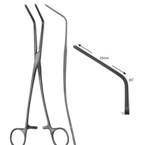 Cardiovascular and Thoracic Surgery